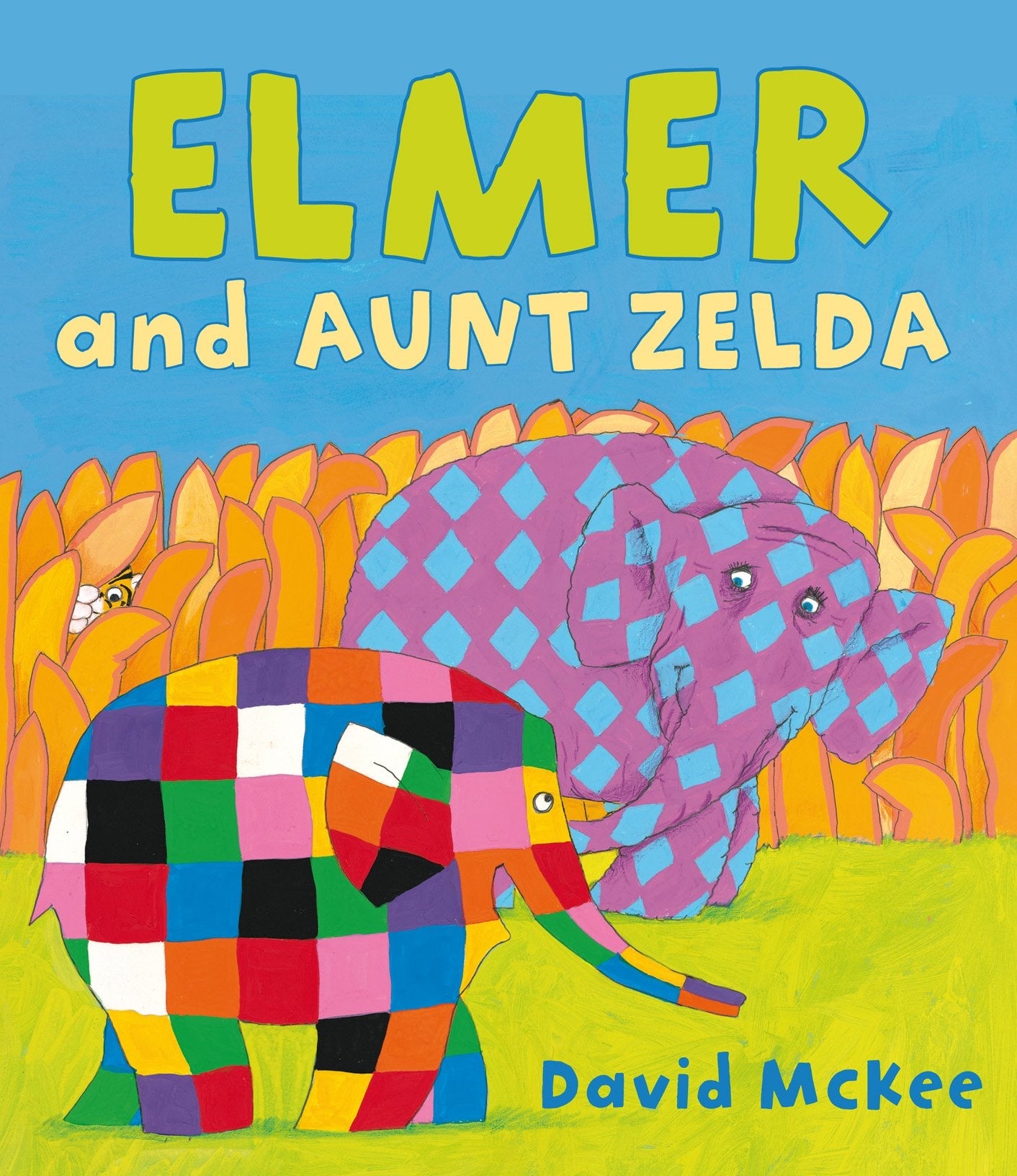 Elmer and Aunt Zelda by David McKee