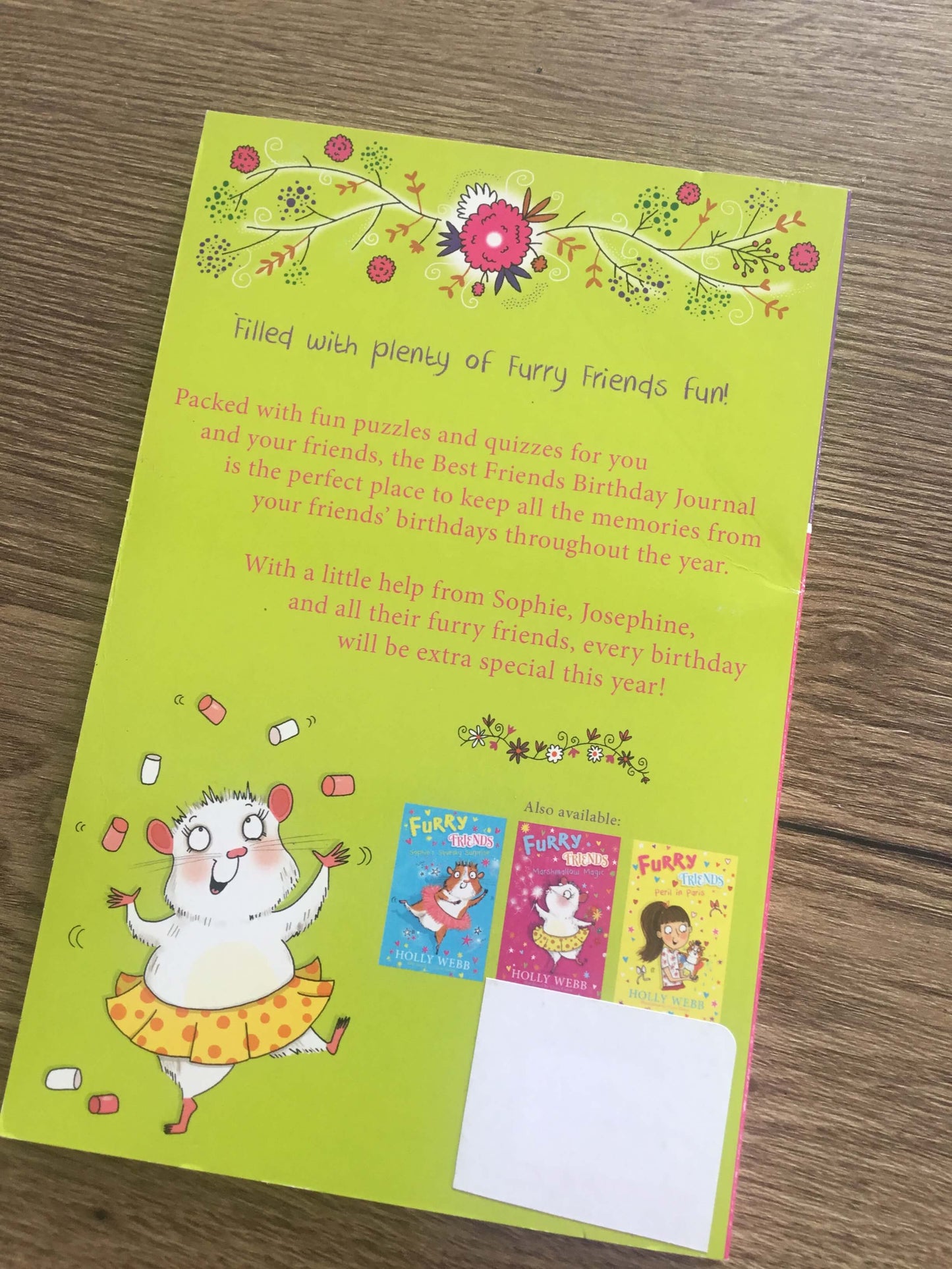 Furry Friends - Best Friends Furry Birthday Journal by Holly Webb