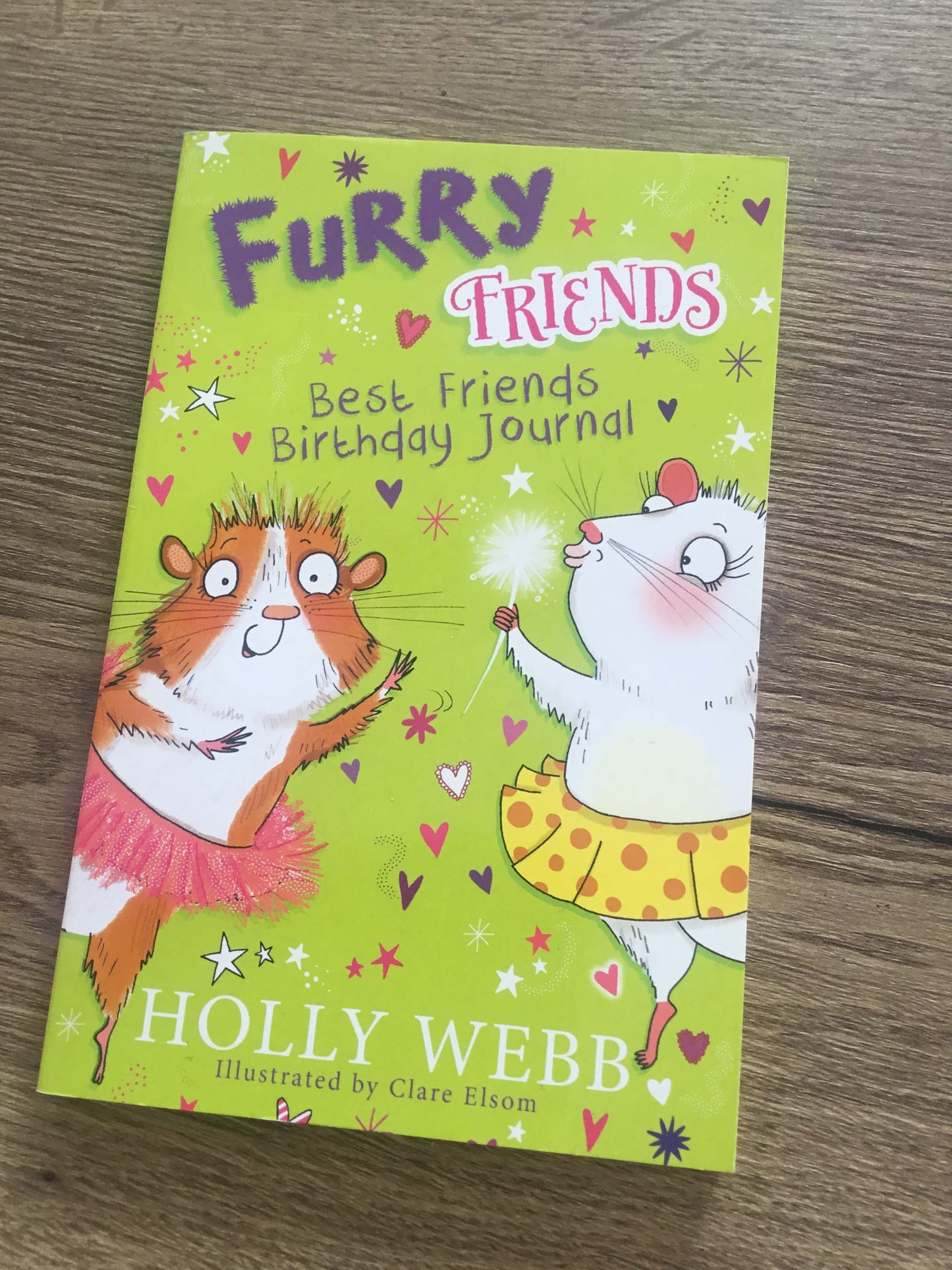 Furry Friends - Best Friends Furry Birthday Journal by Holly Webb