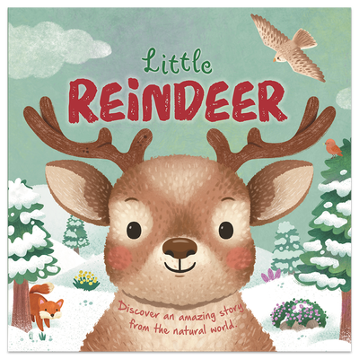 Little Reindeer - Discover an Amazing Story from the Natural World