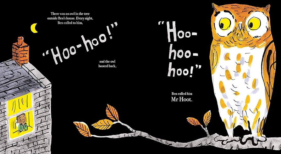 Saving Mr Hoot by Helen Stephens