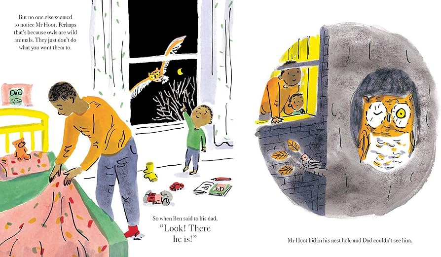 Saving Mr Hoot by Helen Stephens