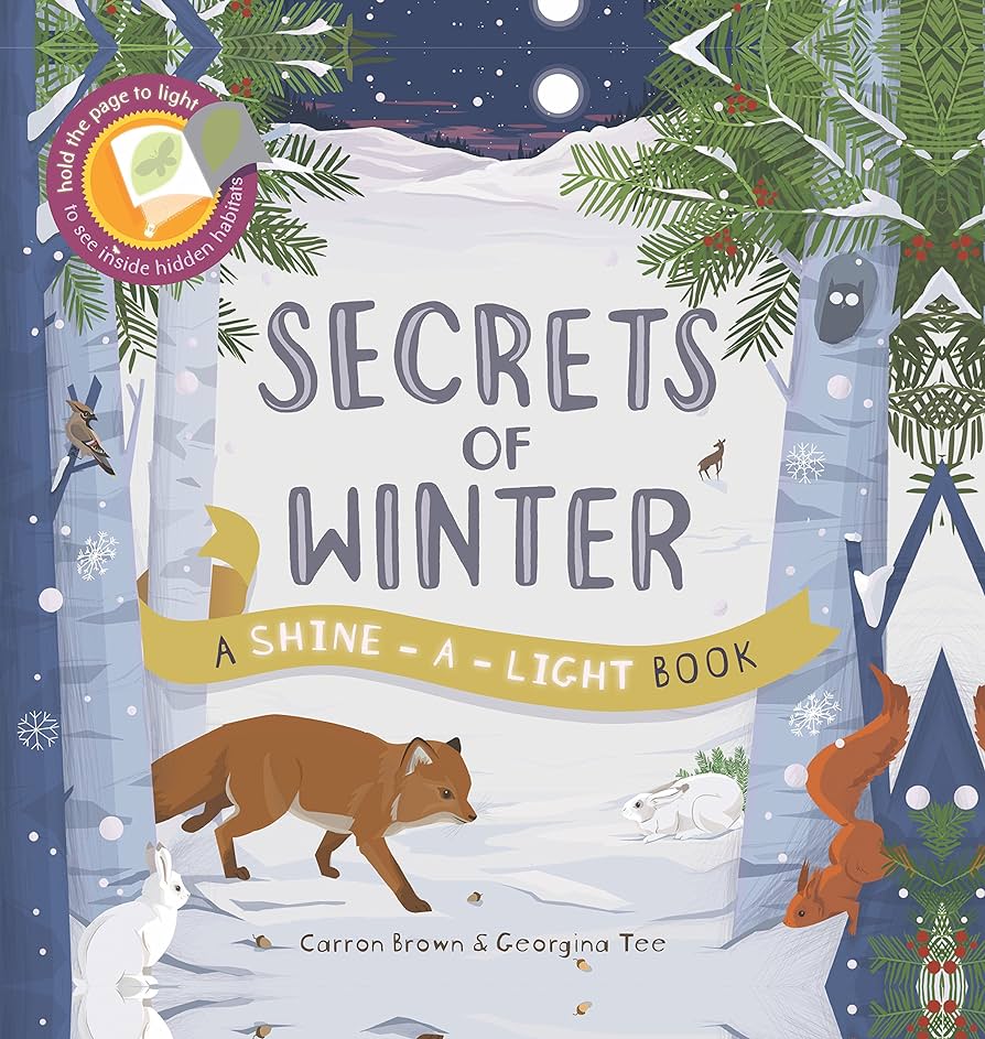 Secrets of Winter - A Shine A Light Book