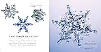 The Story of Snow - The Science of Winter’s Wonder