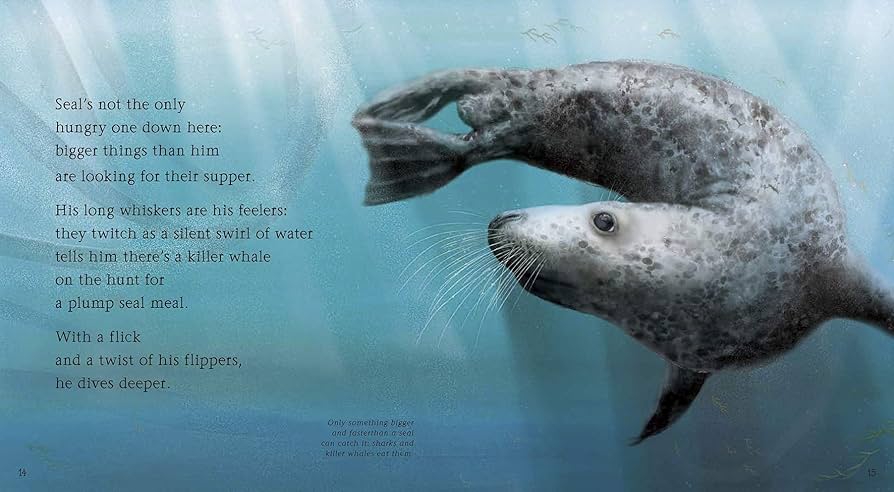 See What a Seal Can Do by Chris Butterworth & Kate Nelms