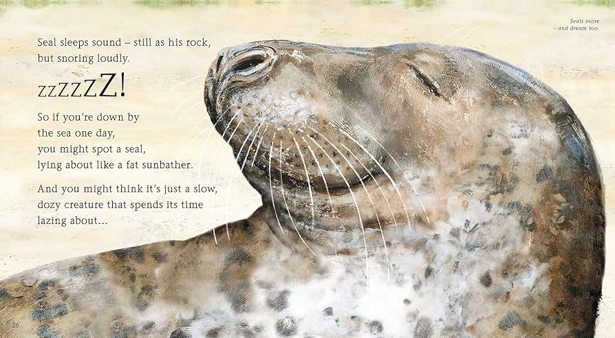 See What a Seal Can Do by Chris Butterworth & Kate Nelms