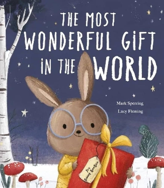 The Most Wonderful Gift in the World by Mark Sperring & Lucy Fleming