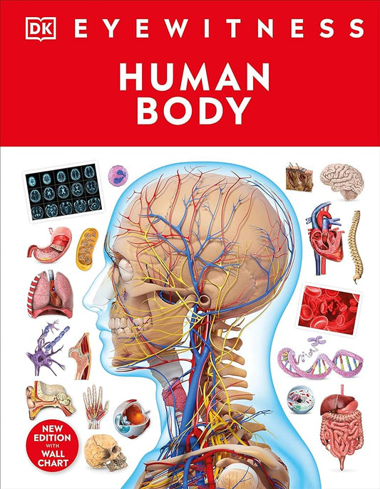 DK Eyewitness Human Body (New Edition)