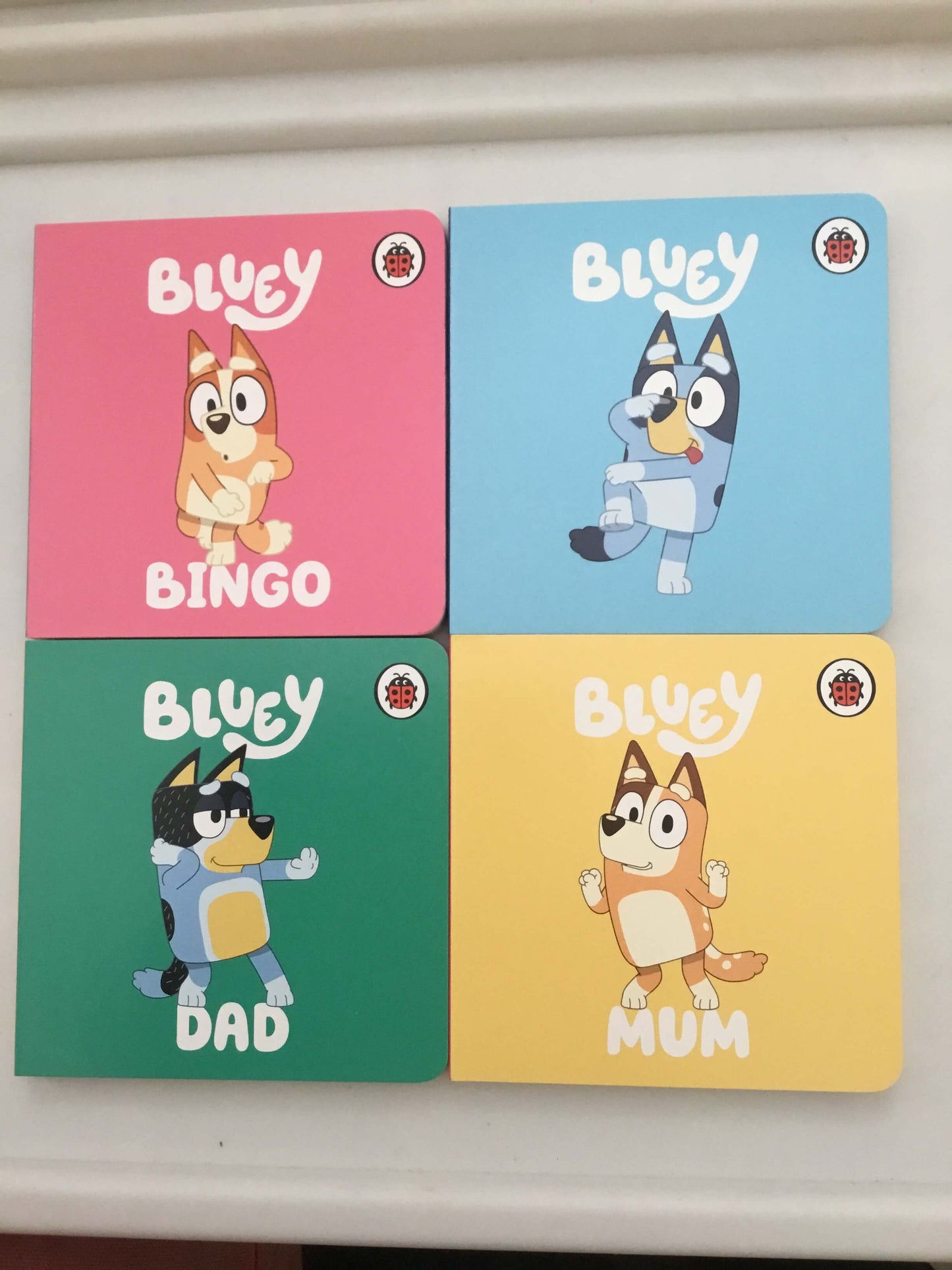 Bluey Dad (Board Book)