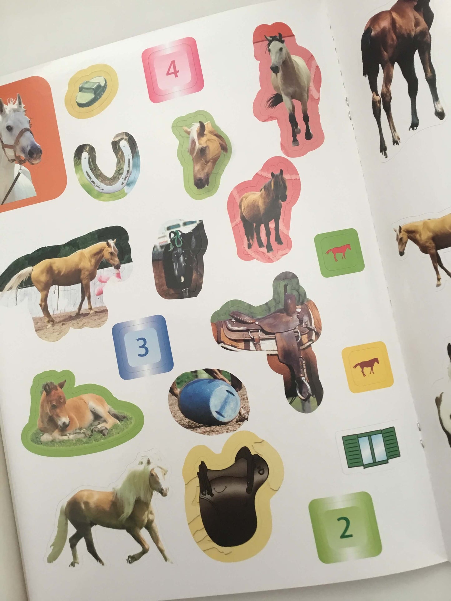 Sticker Book of Horses