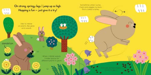 My Little Green World Rabbit (Spin and See Board Book)