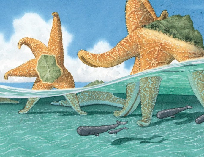 Flotsam by David Wiesner