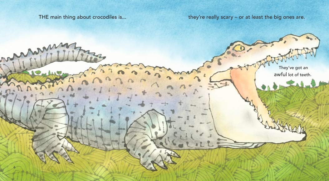 Beware of the Crocodile by Martin Jenkins and Satoshi Kitamura