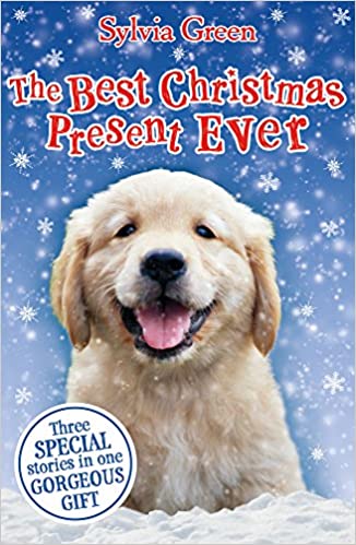 The Best Christmas Present Ever by Sylvia Green