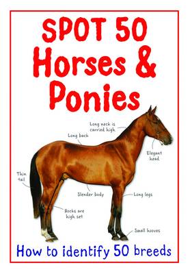 Spot 50 Horses & Ponies - How to Identify 50 Breeds