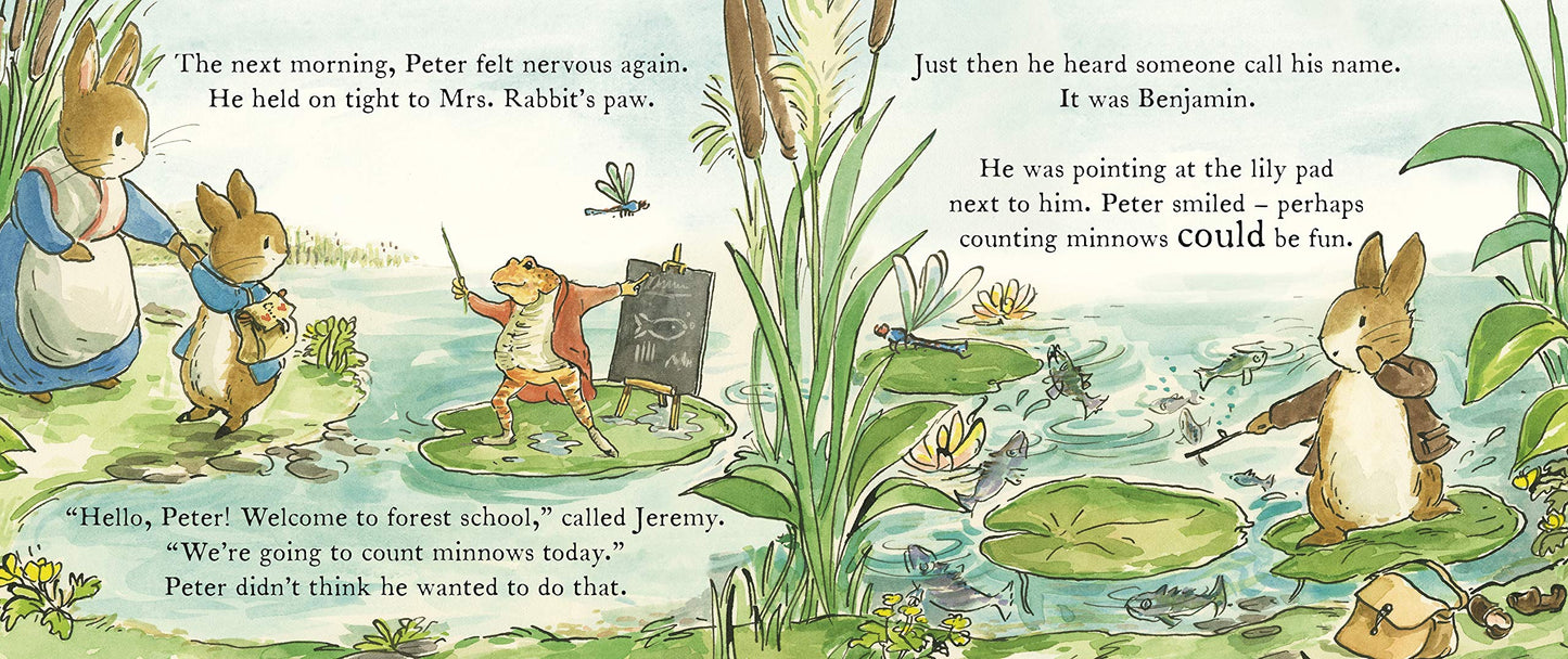 Starting School - A Peter Rabbit Tale (Board Book)