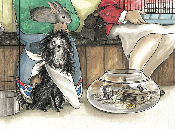 Hairy Maclary’s Rumpus at the Vets by Lynley Dodd