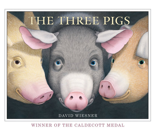 The Three Pigs by David Wiesner