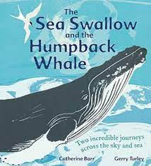 The Sea Swallow and the Humpback Whale by Catherine Barr and Gerry Turley