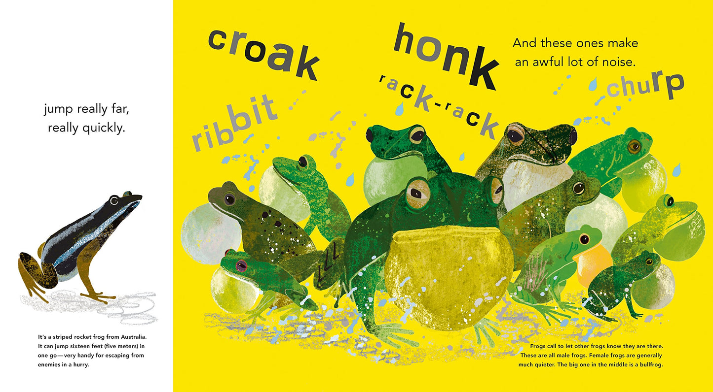 Fabulous Frogs by Martin Jenkins. Illustrated by Tim Hopgood