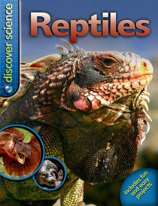Reptiles - Discover Science