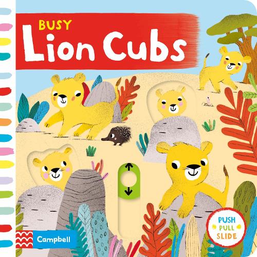 Busy Lion Cubs Campbell (Board Books) PUSH PULL SLIDE